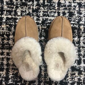 Platform Disquette Uggs Womens